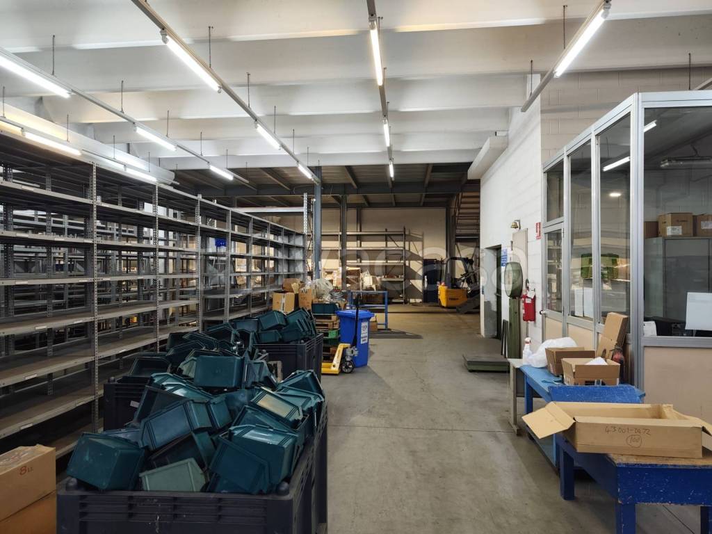 immagine annuncio 12 di 15