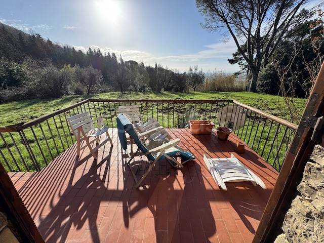 immagine annuncio 7 di 14