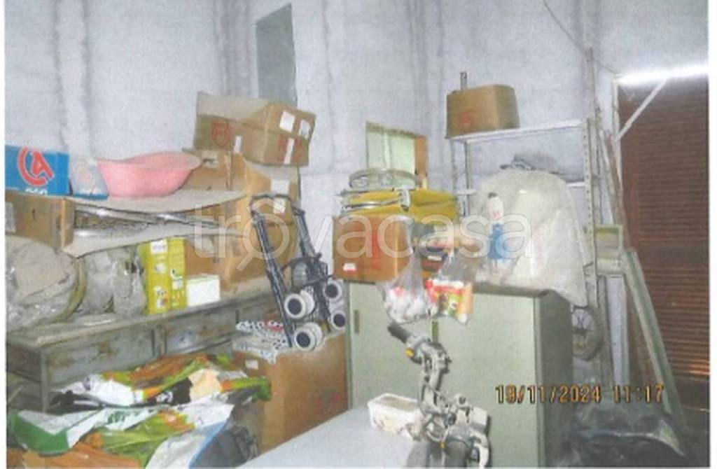 immagine annuncio 4 di 12