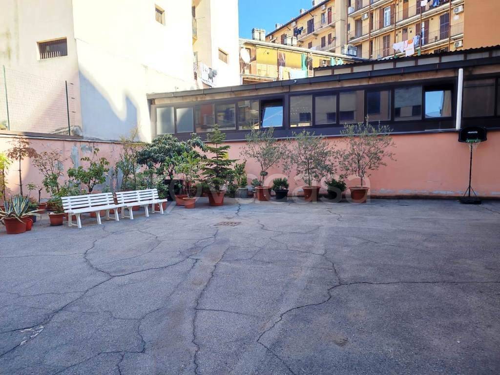 immagine annuncio 11 di 14