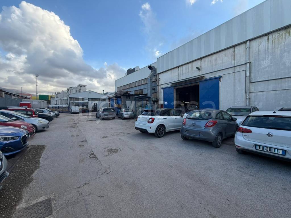 immagine annuncio 4 di 14