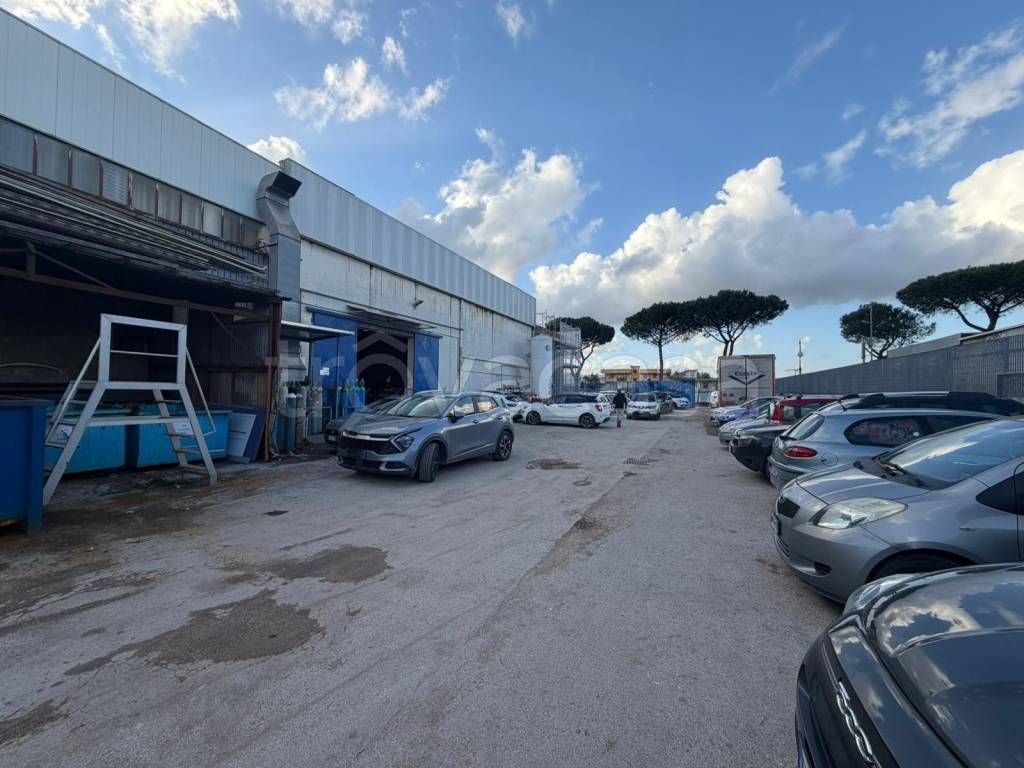 immagine annuncio 8 di 14