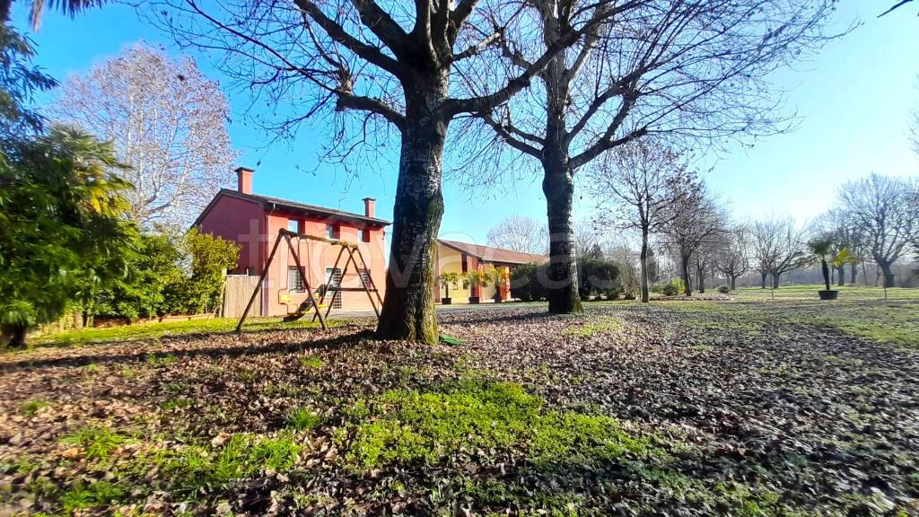 immagine annuncio 11 di 15