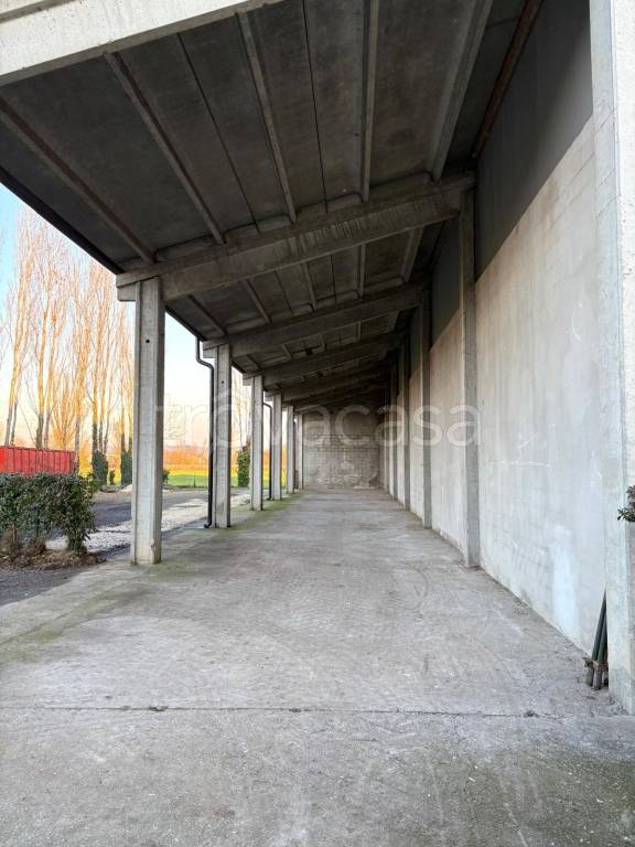 immagine annuncio 3 di 6