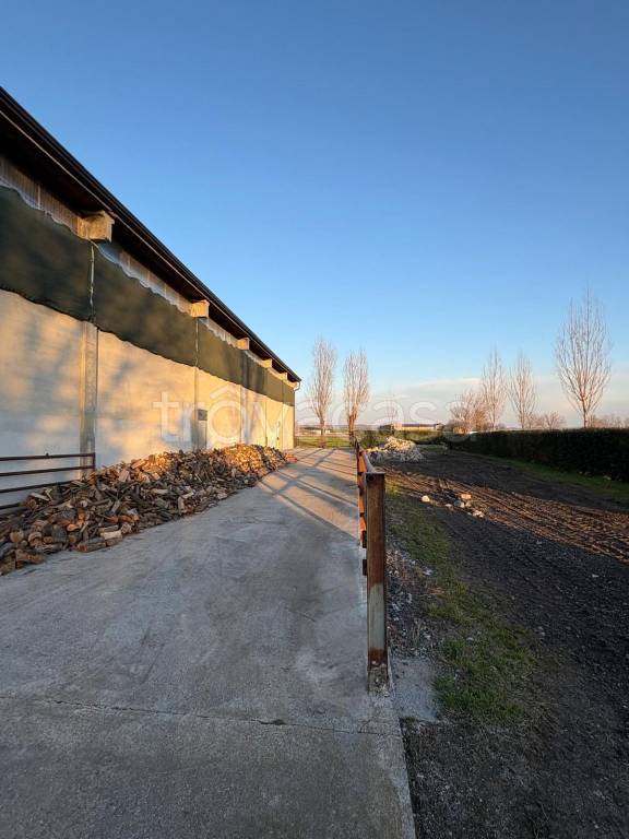 immagine annuncio 4 di 6