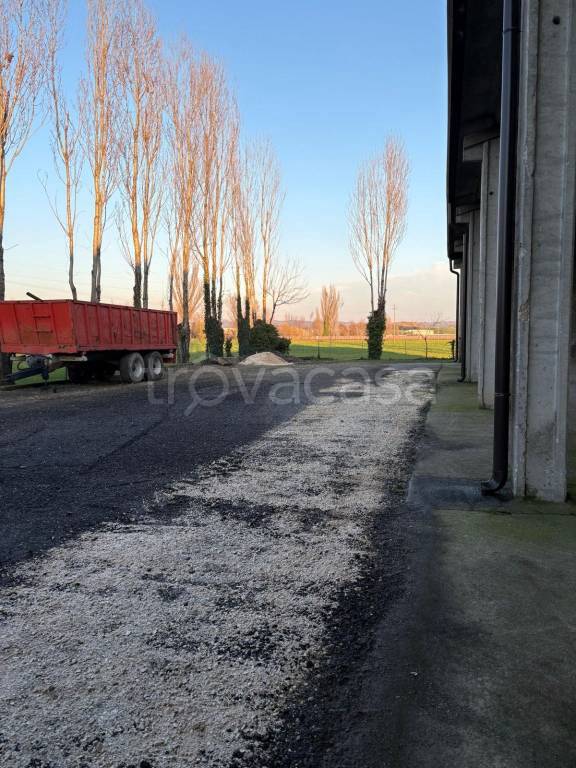 immagine annuncio 5 di 6