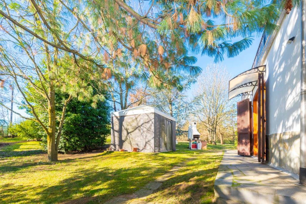 immagine annuncio 3 di 15