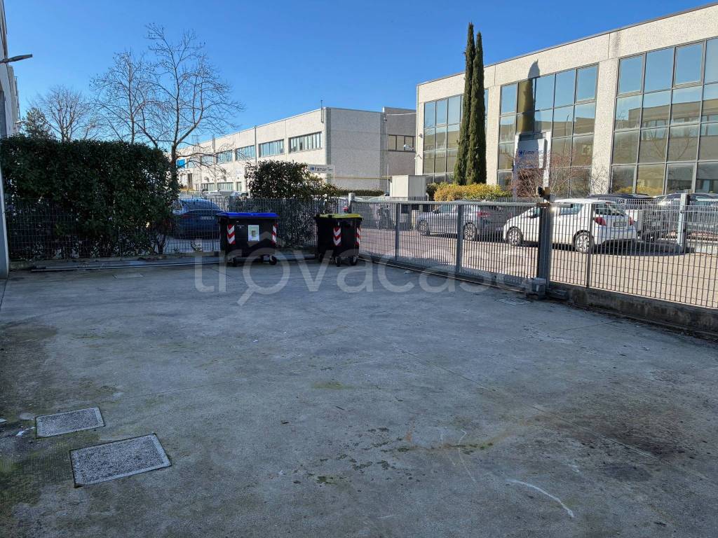 immagine annuncio 9 di 15