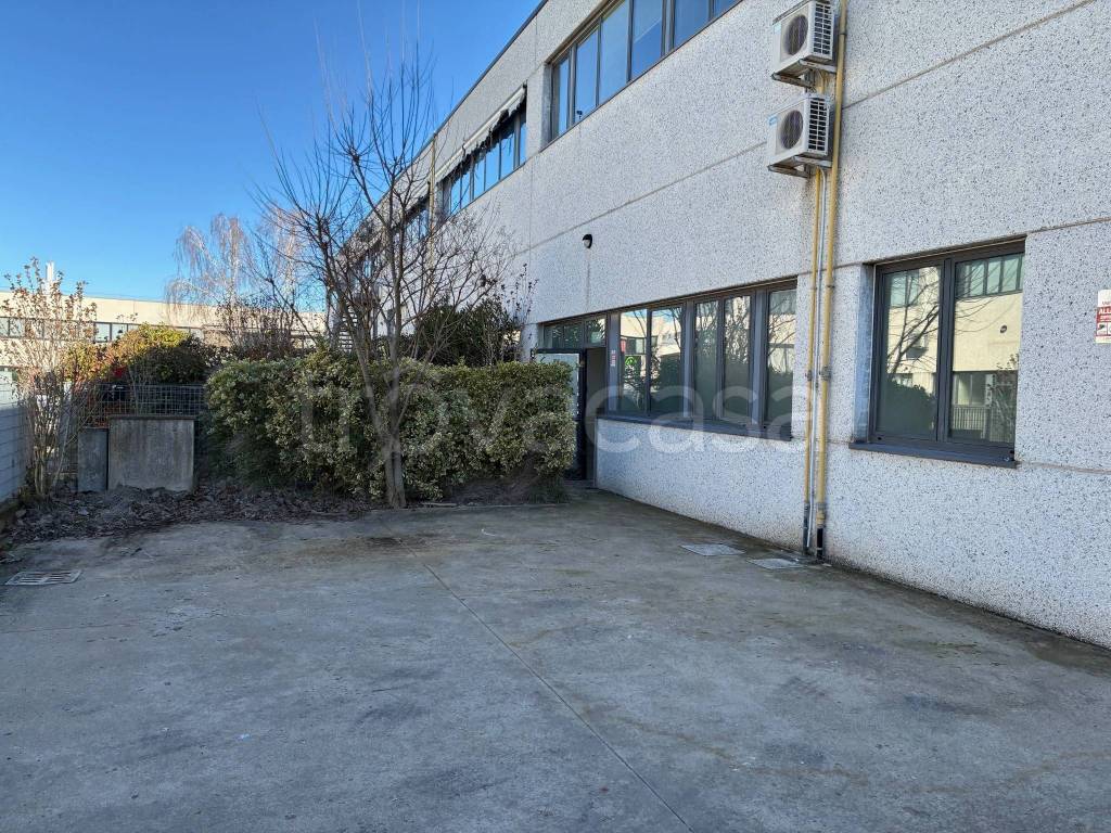 immagine annuncio 10 di 15