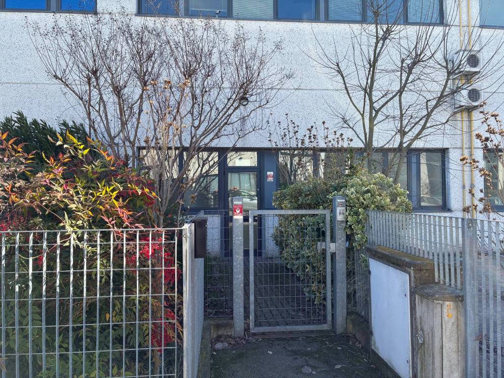 immagine annuncio 11 di 15