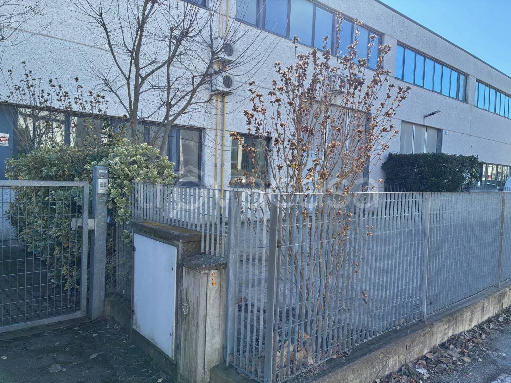 immagine annuncio 12 di 15