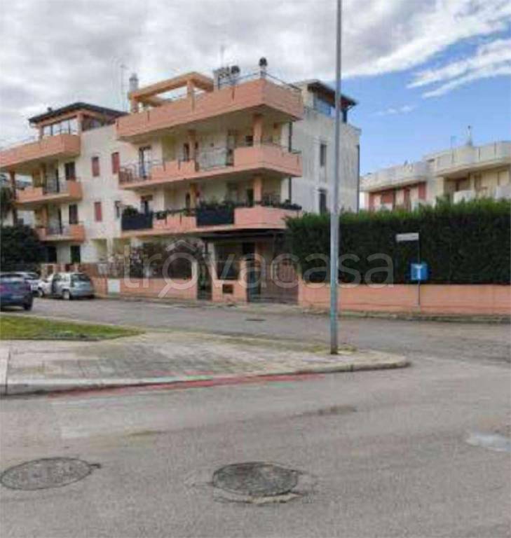 immagine annuncio 11 di 15