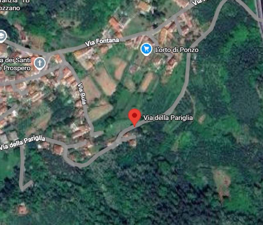 immagine annuncio 2 di 12