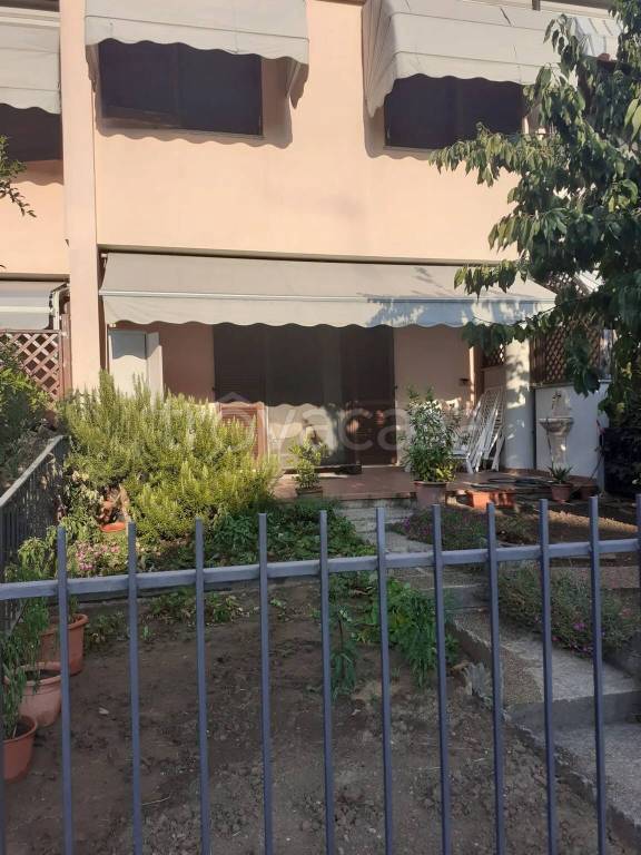 immagine annuncio 1 di 15