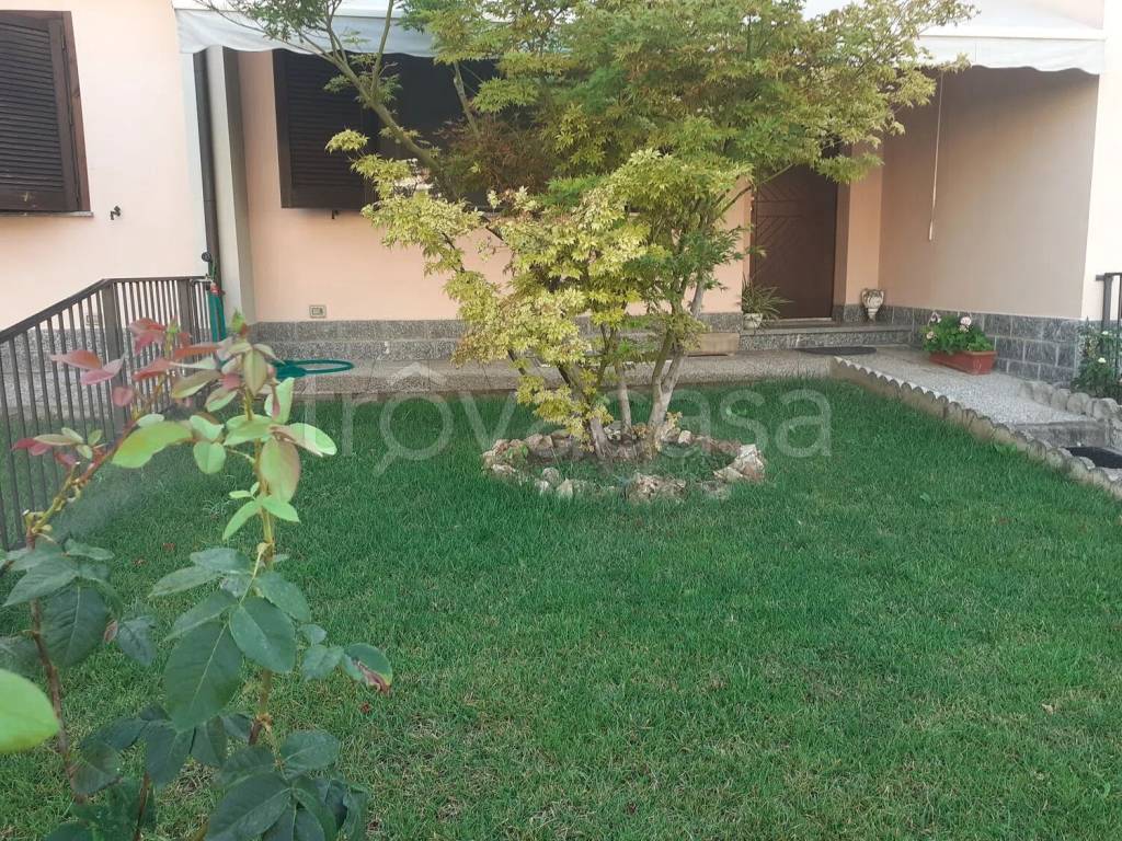 immagine annuncio 2 di 15