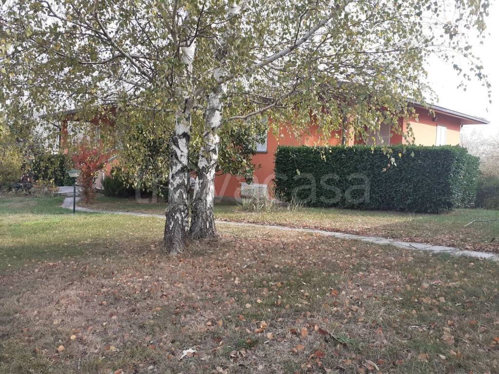 immagine annuncio 11 di 15