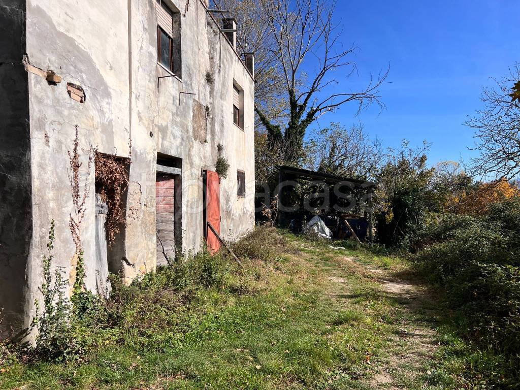 immagine annuncio 5 di 7