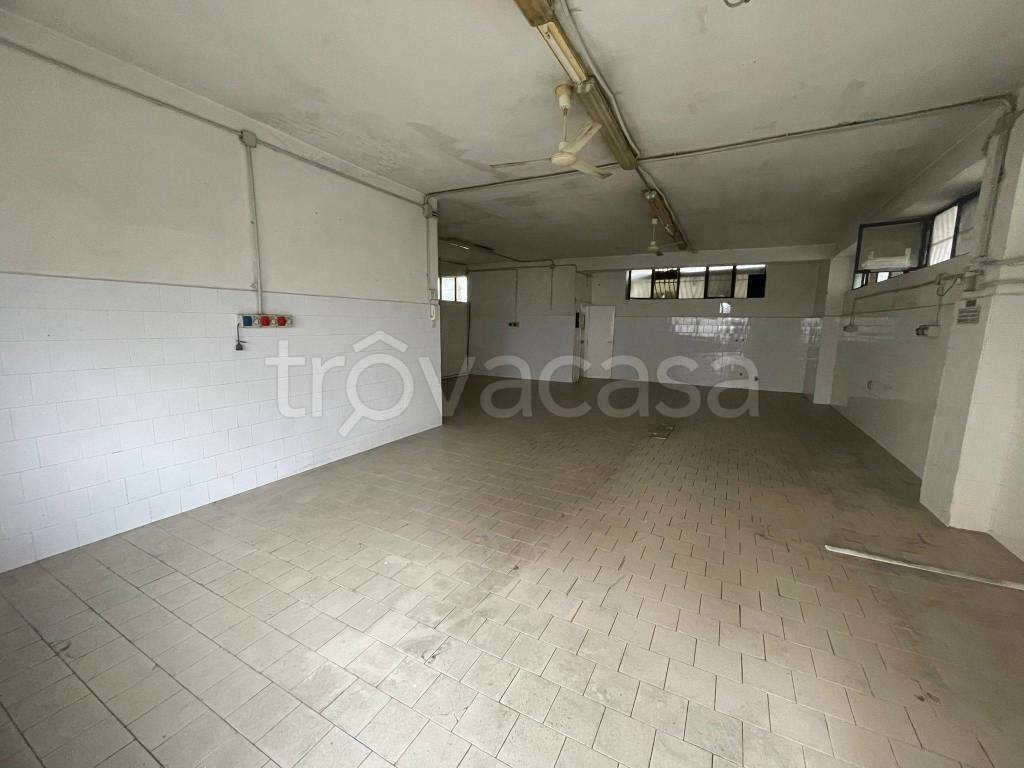 immagine annuncio 4 di 8