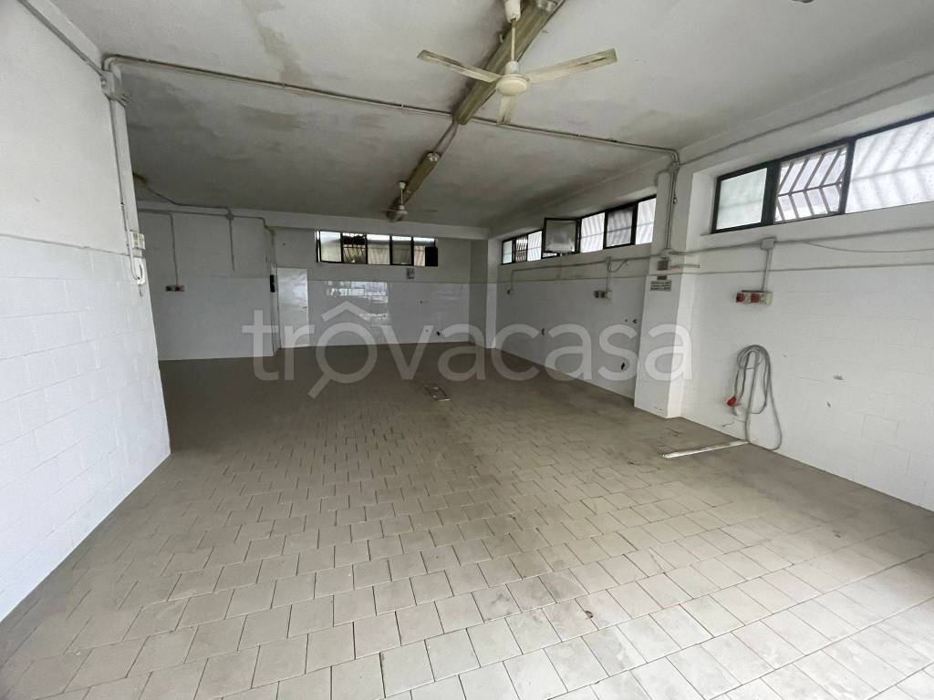 immagine annuncio 6 di 8