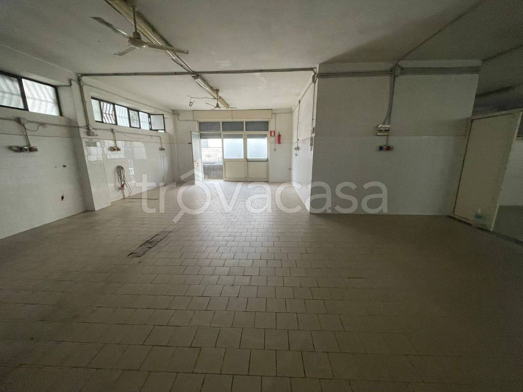 immagine annuncio 3 di 8