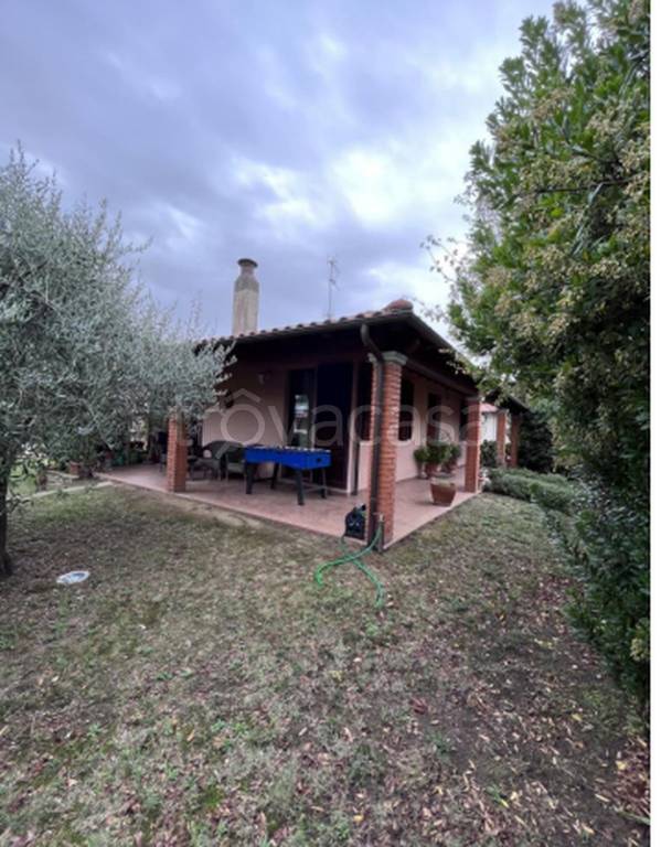 immagine annuncio 2 di 12