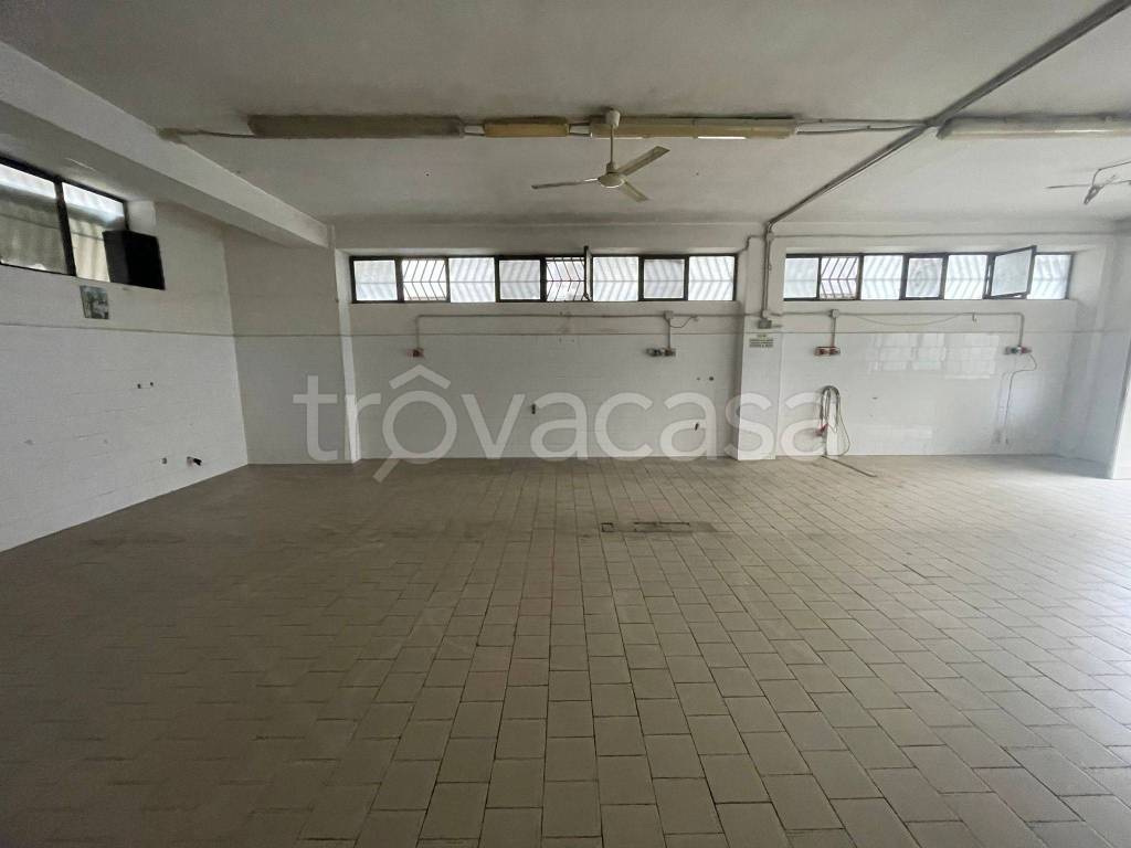 immagine annuncio 2 di 8