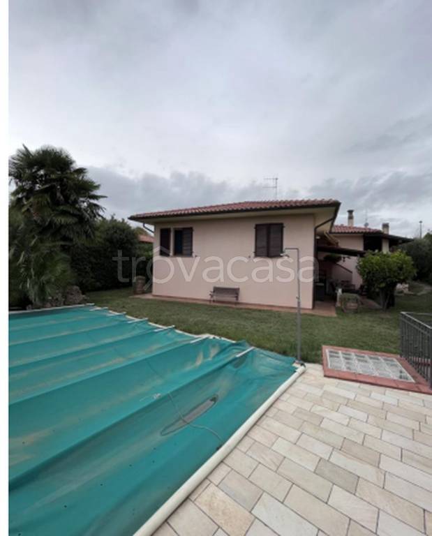 immagine annuncio 4 di 12