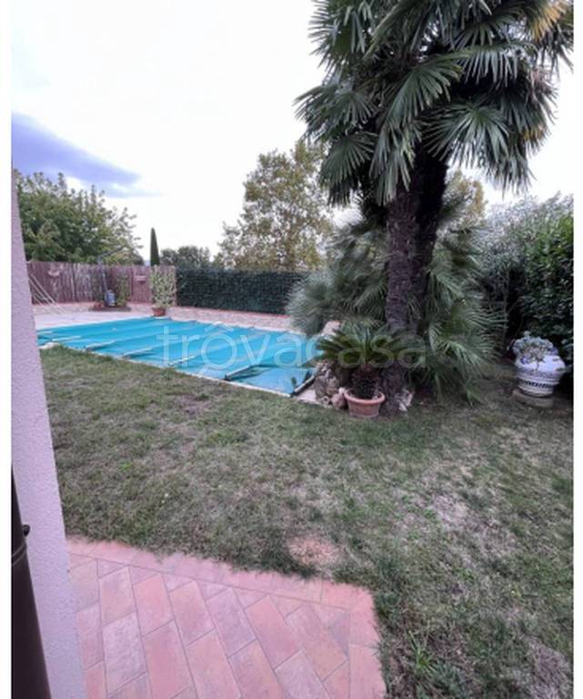 immagine annuncio 5 di 12