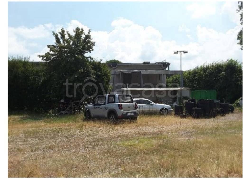 immagine annuncio 4 di 10