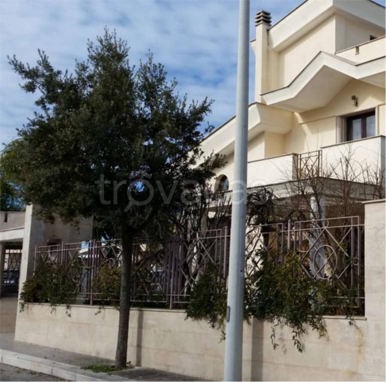 immagine annuncio 6 di 10