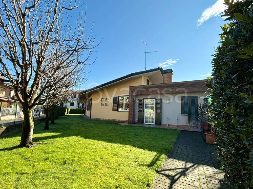 immagine annuncio 13 di 15