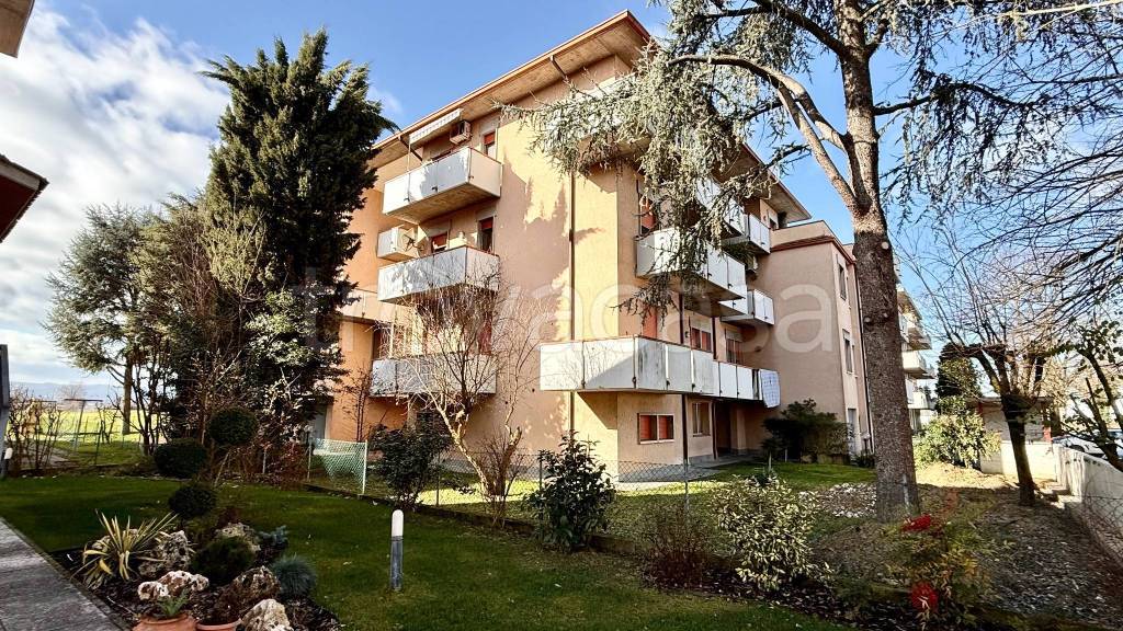 immagine annuncio 1 di 11