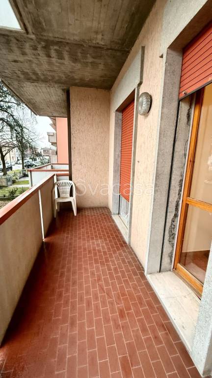 immagine annuncio 7 di 11