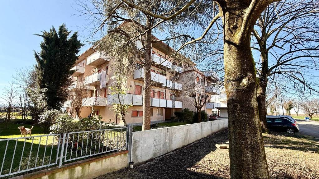 immagine annuncio 9 di 11