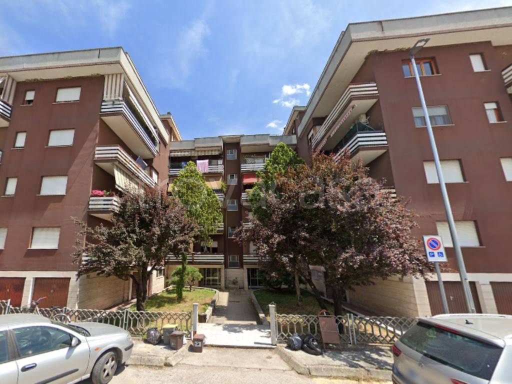 immagine annuncio 5 di 11