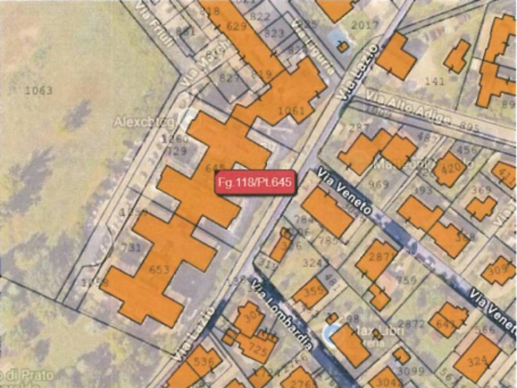 immagine annuncio 9 di 11