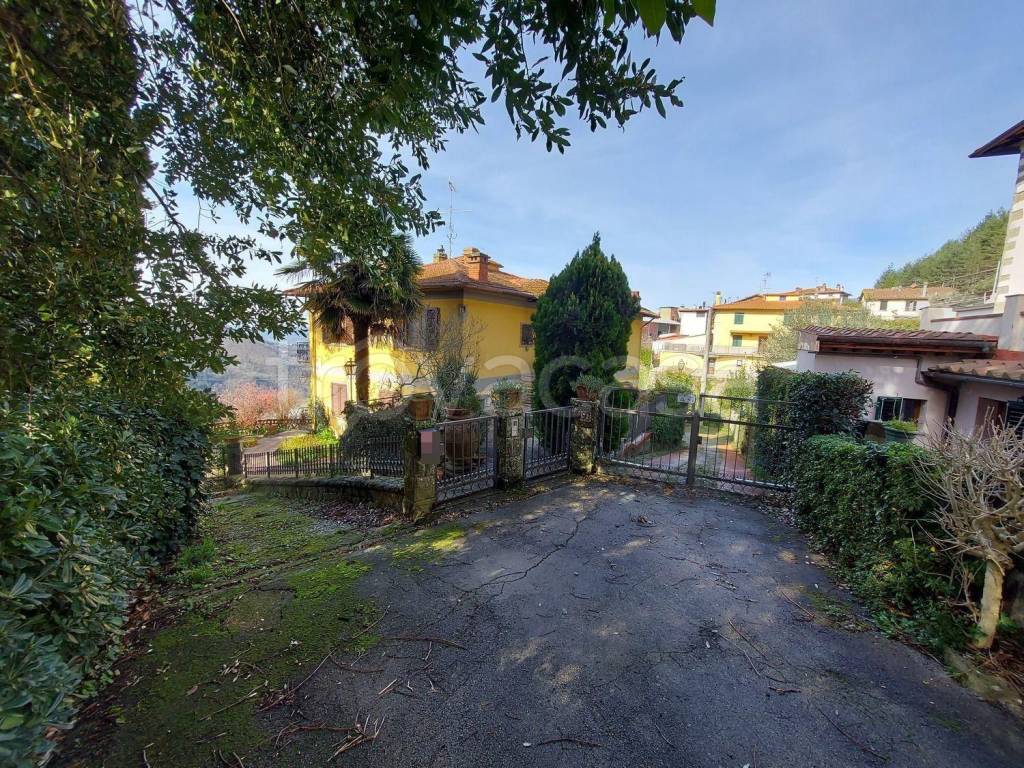 immagine annuncio 7 di 13