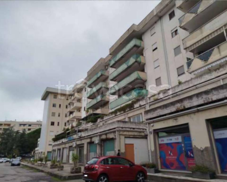 immagine annuncio 4 di 8