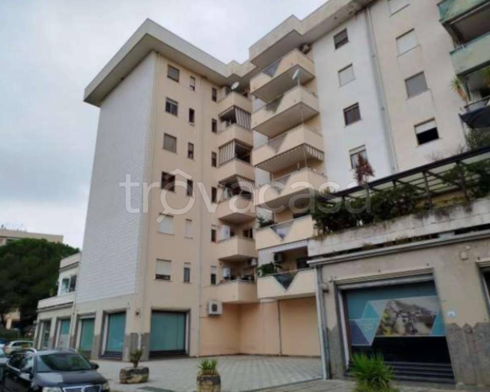 immagine annuncio 3 di 8