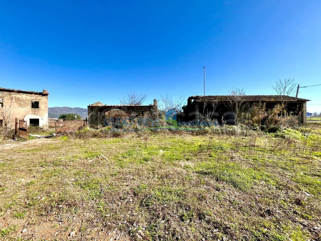 immagine annuncio 4 di 11