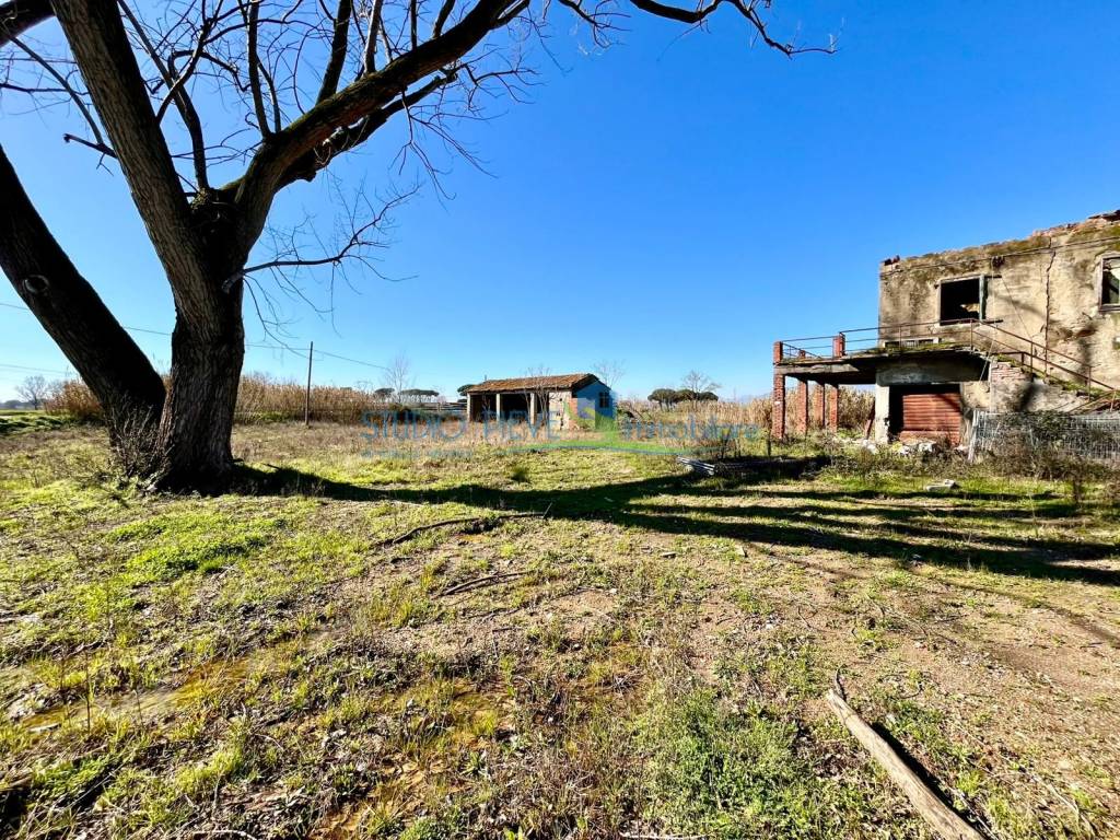 immagine annuncio 5 di 11