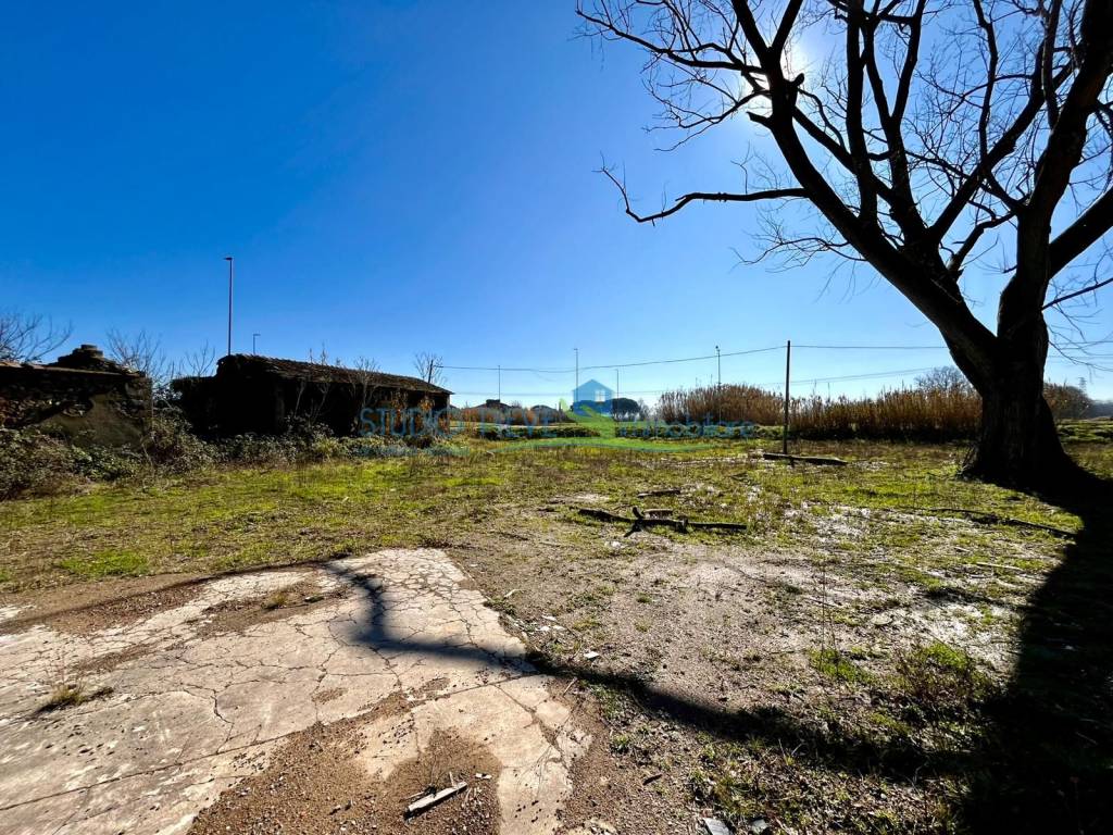 immagine annuncio 6 di 11