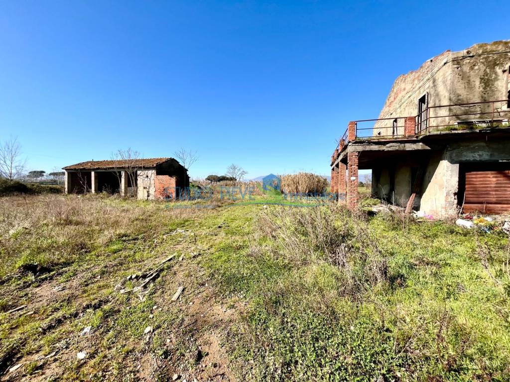 immagine annuncio 9 di 11