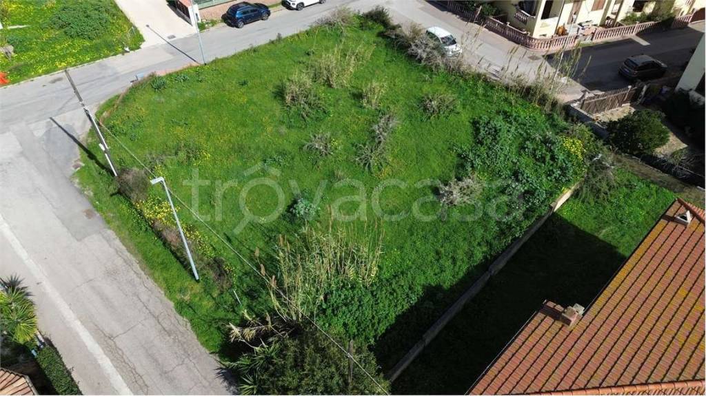 immagine annuncio 2 di 6