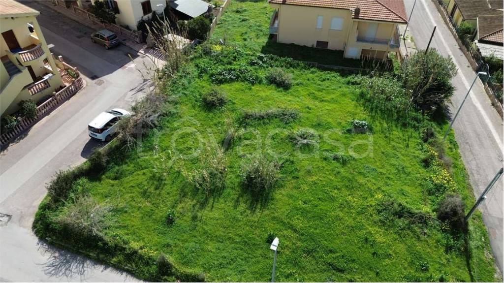 immagine annuncio 3 di 6