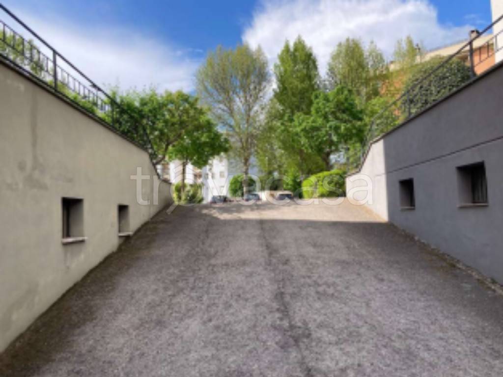 immagine annuncio 9 di 14