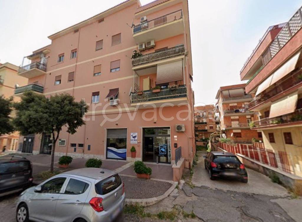 immagine annuncio 10 di 11