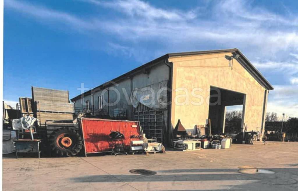 immagine annuncio 4 di 10