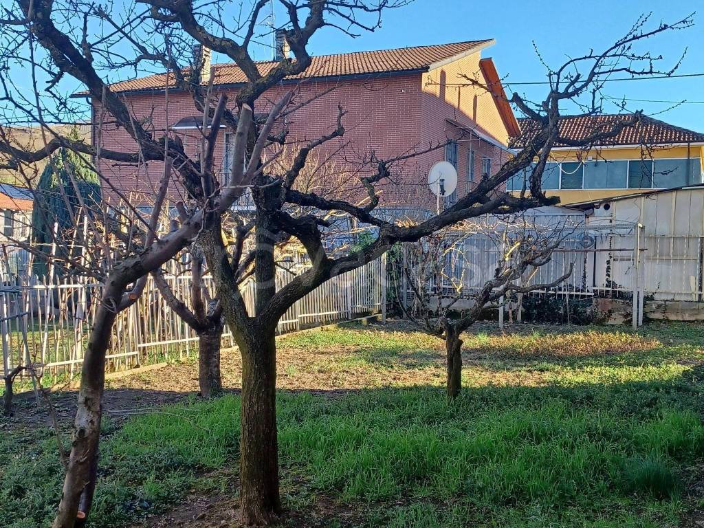 immagine annuncio 4 di 15