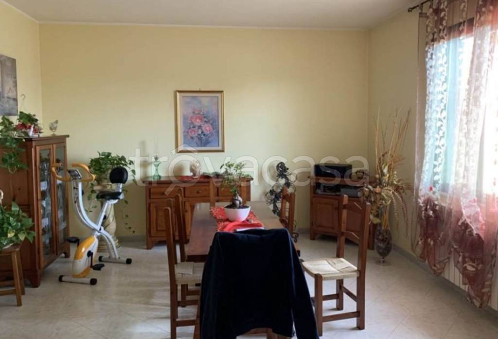 immagine annuncio 6 di 12